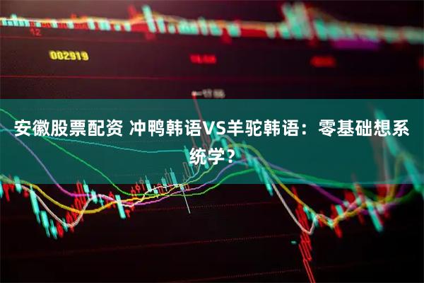 安徽股票配资 冲鸭韩语VS羊驼韩语：零基础想系统学？